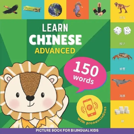Learn chinese - 150 words with pronunciations - Advanced: Picture book for bilingual kids by Gnb