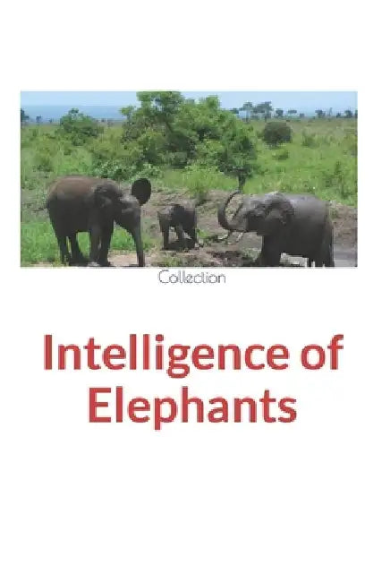 Intelligence of Elephants by Nature and Human Studies