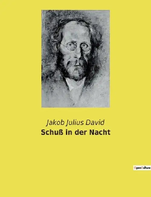 Schuß in der Nacht: Ein moralisches Dilemma im Schatten der Nacht. by David, Jakob Julius