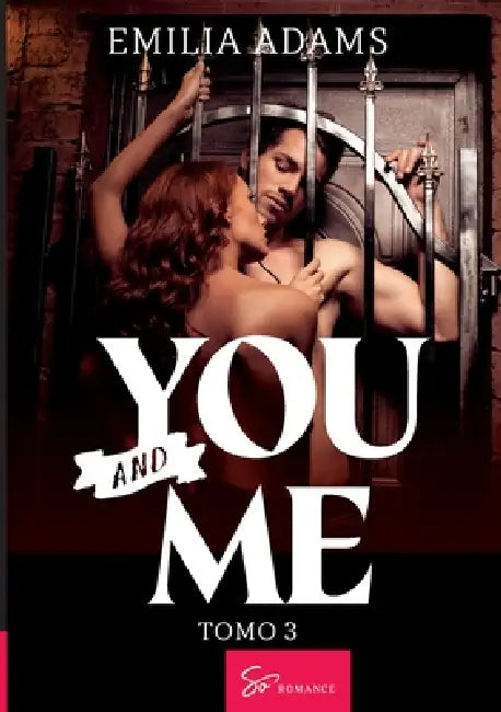 You... And me - Tomo 3: Un invierno tormentoso by Emilia Adams