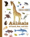 Do You Know?: Animals of Land, Sea, and Air by Stéphanie Babin