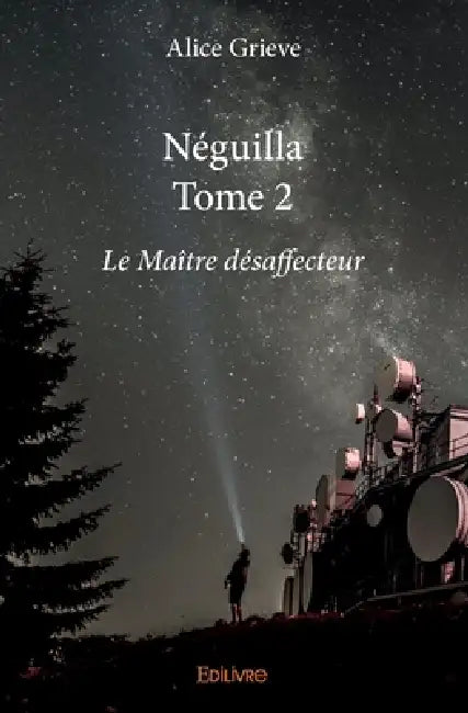 Néguilla - Tome 2: Le Maître désaffecteur by Alice Grieve