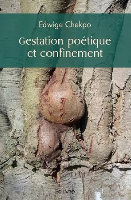 Gestation poétique et confinement by Edwige Chekpo
