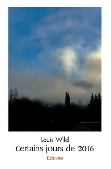 Certains jours de 2016 by Louis Wild