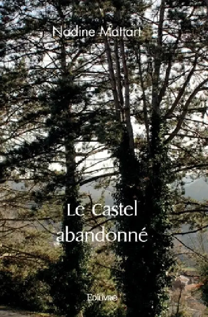 Le Castel abandonné by Nadine Mattart