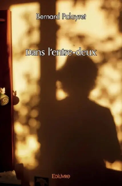 Dans l'entre-deux by Bernard Palayret