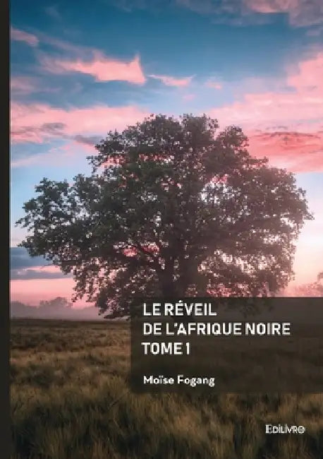Le réveil de l'Afrique noire - Tome 1 by Moïse Fogang