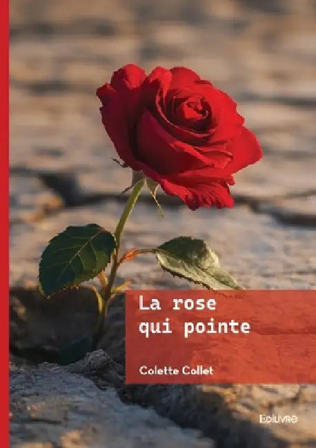 La rose qui pointe by Colette Collet