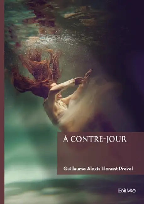 À contre-jour by Guillaume Alexis Florent Prevel