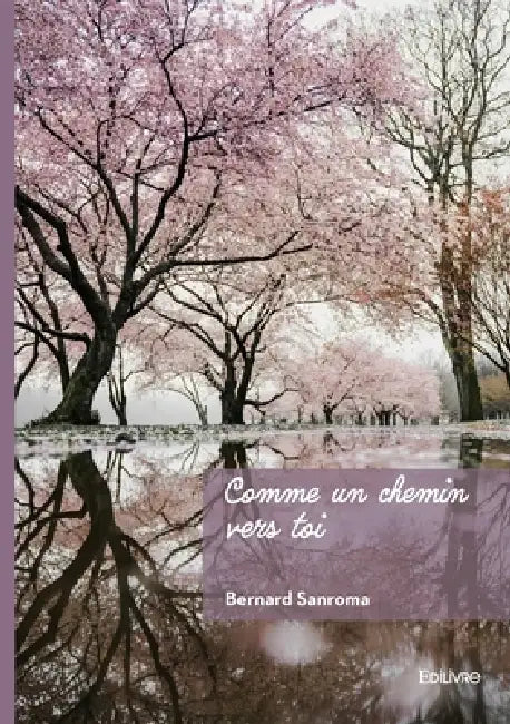 Comme un chemin vers toi by Bernard Sanroma