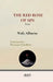 The Red Rose of Sin by Wafa Albueise