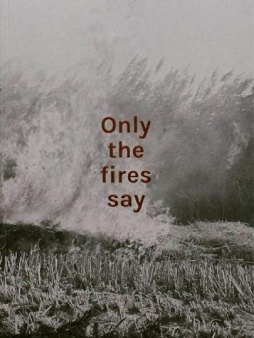 Only the fires say by Alan Eglinton