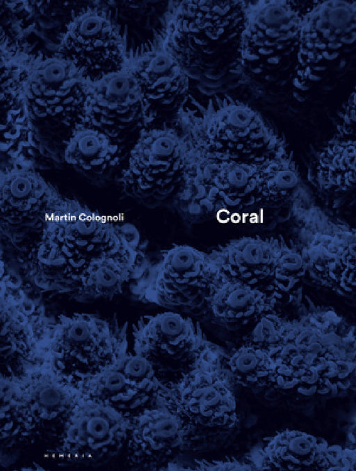 Coral by Martin Colognoli, Charlie Veron