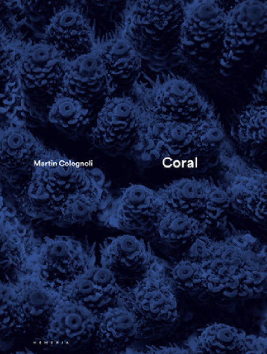 Coral by Martin Colognoli, Charlie Veron