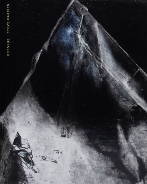 OCTOPUS by Steve Harries