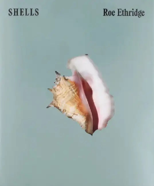 SHELLS by Roe Ethridge
