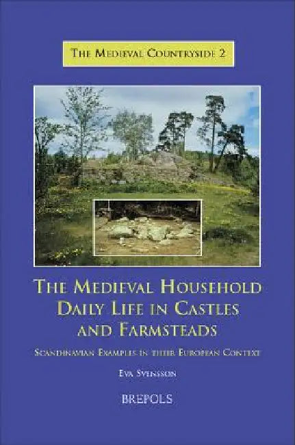 The Medieval Household: Daily Life in Castles and Farmsteads: Scandinavian Examples in Their European Context by Emma Bentz, Eva Svensson