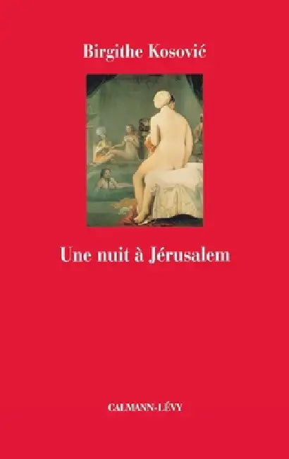 Une nuit à Jérusalem by Brigithe Kosovic