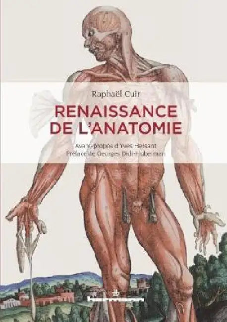 Renaissance de l'anatomie by Raphaël Cuir