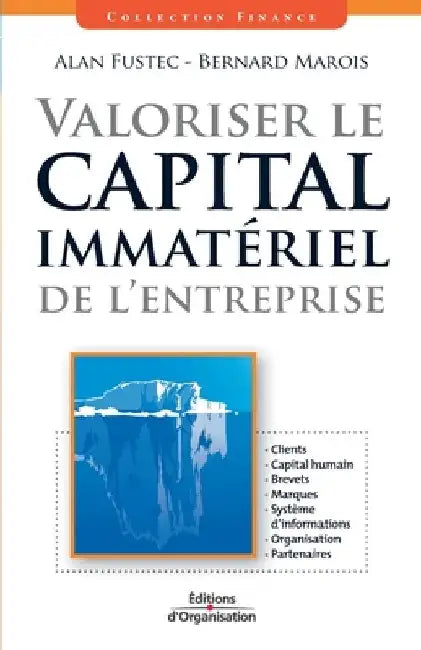 Valoriser le capital immatériel de l'entreprise: Clients. Capital humain. Brevets. Marques. Système d'informations. Organisation. Partenaires by Fustec, Alan