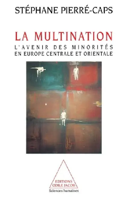 Plural Nation: The Future of Central and Eastern European Minorities / La Multination: L'avenir des minorités en Europe centrale et orientale by Stéphane Pierré-Caps