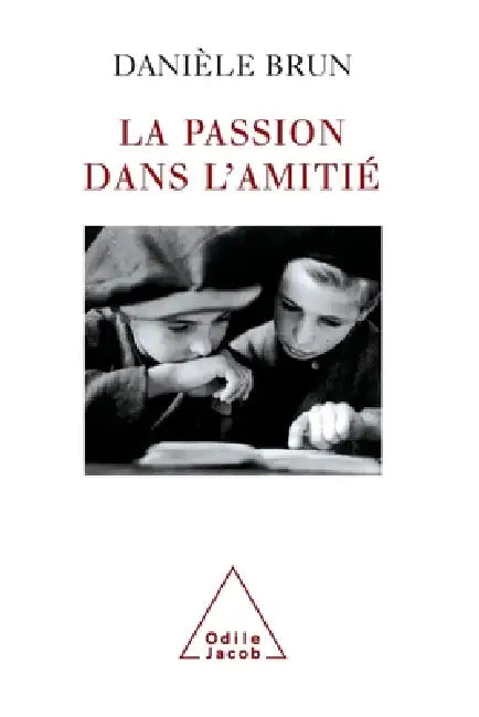 Passion in Friendship / La Passion dans l'amitié by Danièle Brun