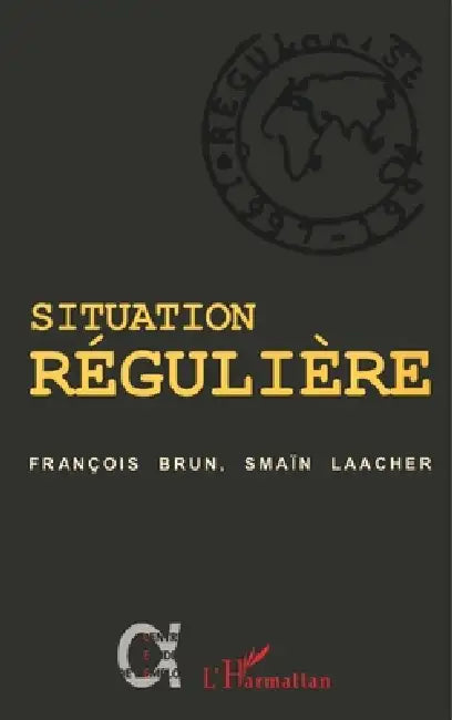 Situation Régulière: Etre régularisé by Boisard Pierre