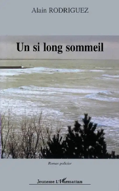 Un si long sommeil by Rodriguez Alain