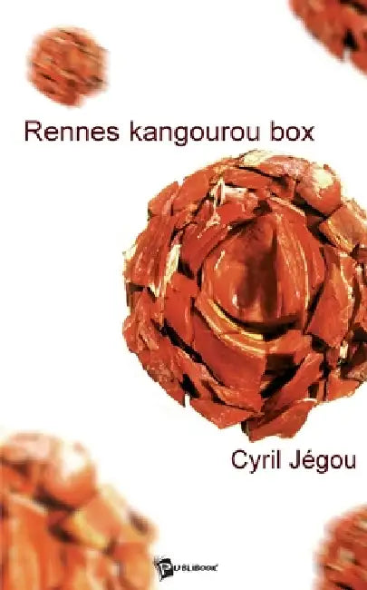 Rennes kangourou box by Cyril Jégou