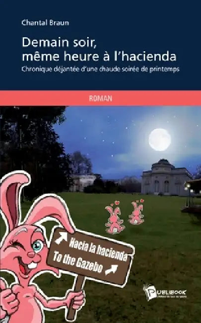 Demain soir même heure à l'Hacienda: Chronique déjantée d'une chaude soirée de printemps by Chantal Braun