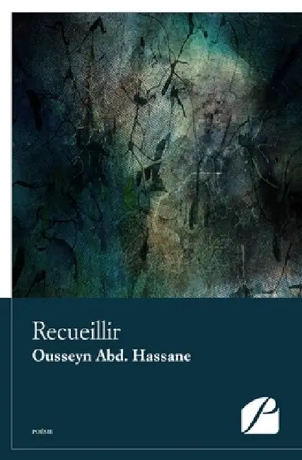 Recueillir by Ousseyn Abd Hassane