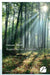 Regardons vers la lumière by Catherine Mirande