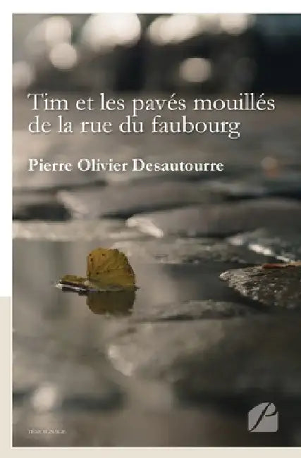 Tim et les pavés mouillés de la rue du faubourg by Pierre Olivier Desautourre