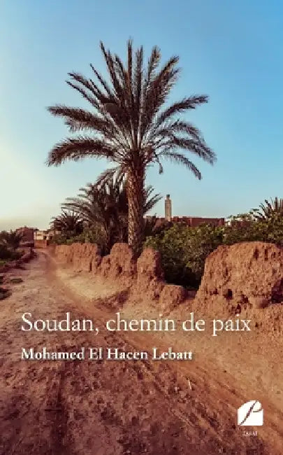 Soudan, chemin de paix by Mohamed El Hacen Ould Lebatt
