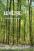 Le hêtre by Teissier Du Cros, E.