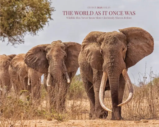 The World As It Once Was by George Dian Balan