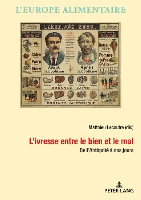 L'ivresse entre le bien et le mal: De l'Antiquité à nos jours by Matthieu Lecoutre