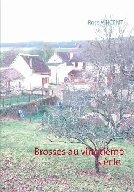 Brosses au vingtième siècle by Vincent, Rose