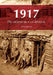1917 - Du désespoir à la révolte by Gilles Vauclair