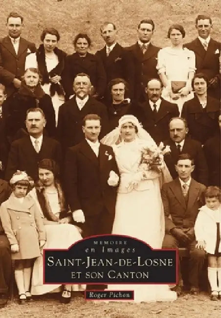 Saint-Jean-de-Losne et son canton by Pichon Roger