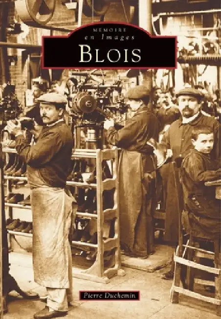 Blois - Tome I by Duchemin Pierre