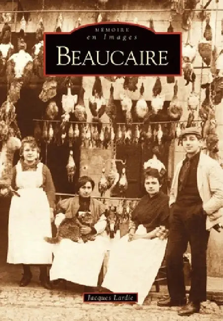 Beaucaire by Lardie Jacques