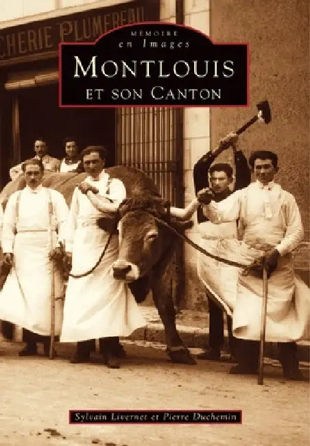 Montlouis et son canton by Duchemin Pierre, Livernet Sylvain