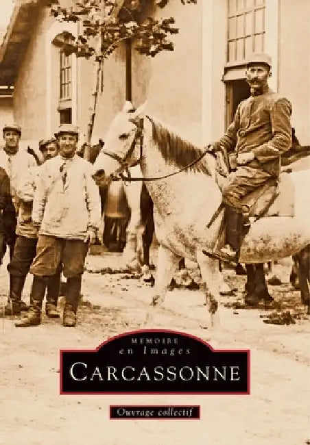 Carcassonne - Tome I by Caucanas Sylvie, Pini, Robion Claude-Marie