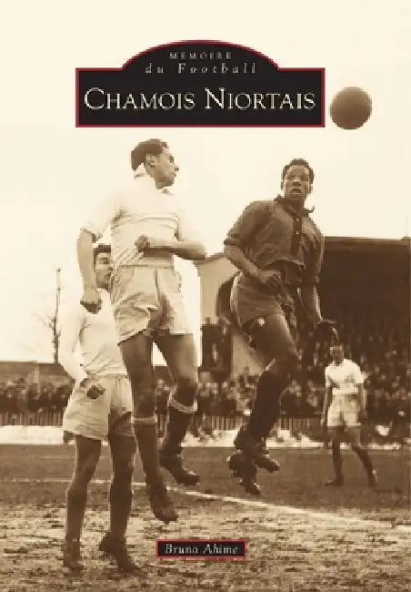 Chamois Niortais by Ahime Bruno