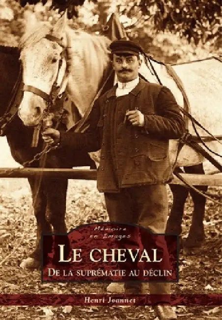 Mende-en-Gévaudan by Laurans Alain