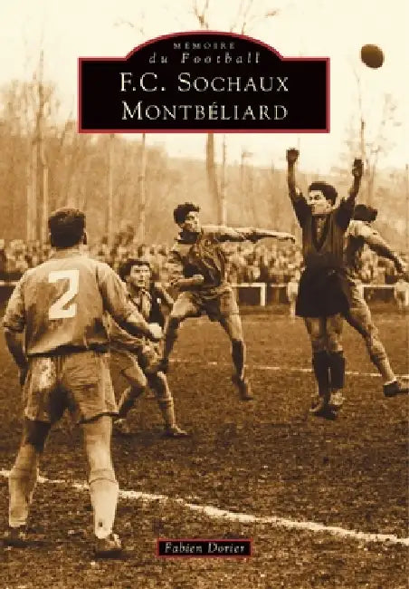 FC Sochaux-Montbéliard by Fabien Dorier
