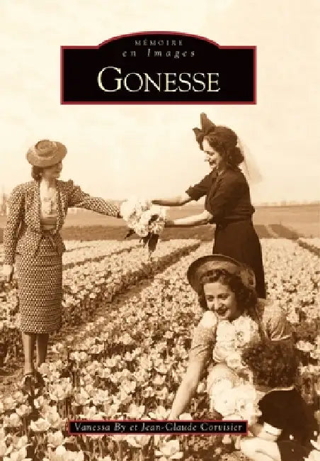 Gonesse by Jean-Claude Corvisier, By Vanessa
