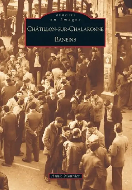 Châtillon-sur-Chalaronne, Baneins by Monnier Annie