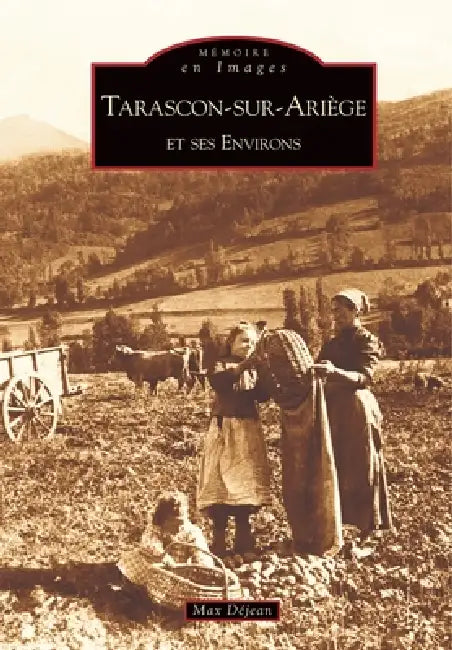 Tarascon-sur-Ariège et ses environs by D.